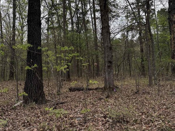 0 JULIAN, Hot Springs, AR 71913