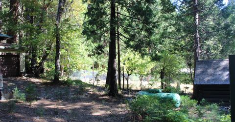 101 Wild Plum Rd., Sierra City, CA 96125 Photo
