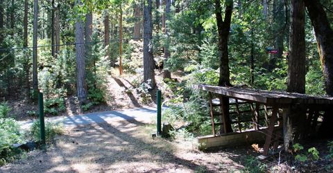 101 Wild Plum Rd., Sierra City, CA 96125 Photo
