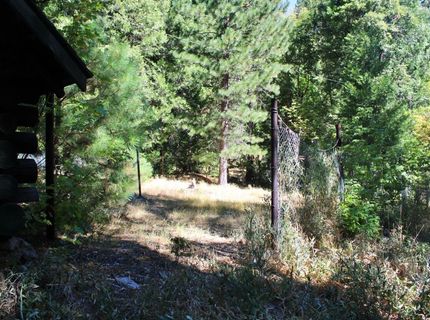 101 Wild Plum Rd., Sierra City, CA 96125 Photo