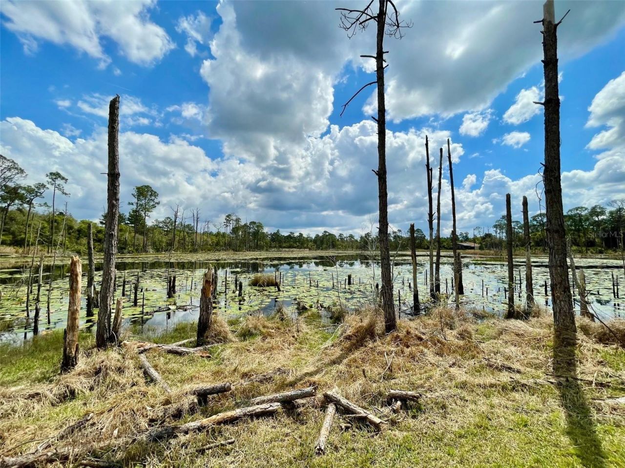 349 Seminole Woods Blvd, Geneva, FL 32732 Photo