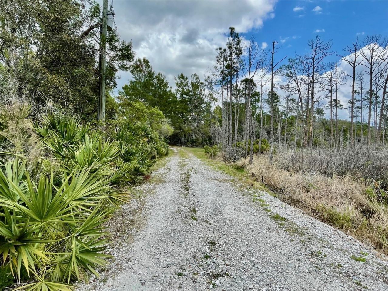 349 Seminole Woods Blvd, Geneva, FL 32732 Photo