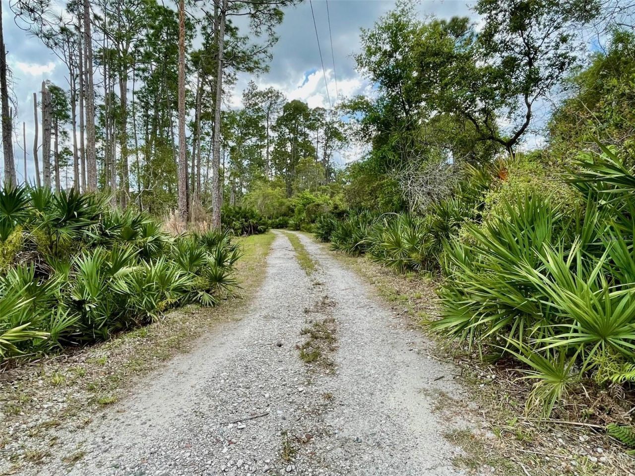 349 Seminole Woods Blvd, Geneva, FL 32732 Photo