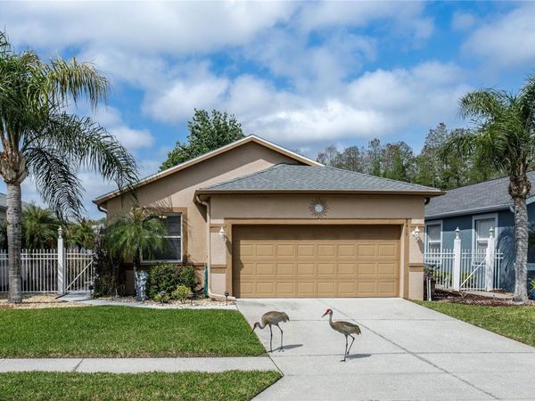 8415 TAROCCO COURT , LAND O LAKES, FL 34637