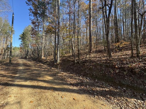 28 Acres County Road 917, Collinsville, AL 35961