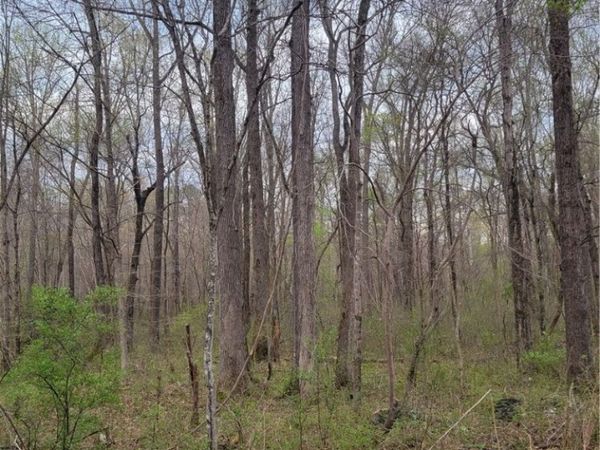 11121 Coalboro Road, Chesterfield, VA 23838