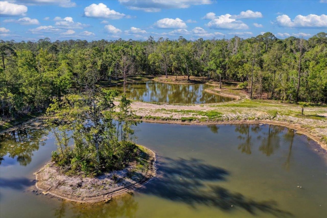 0 NW Roys Road, Steinhatchee, FL 32359 Photo