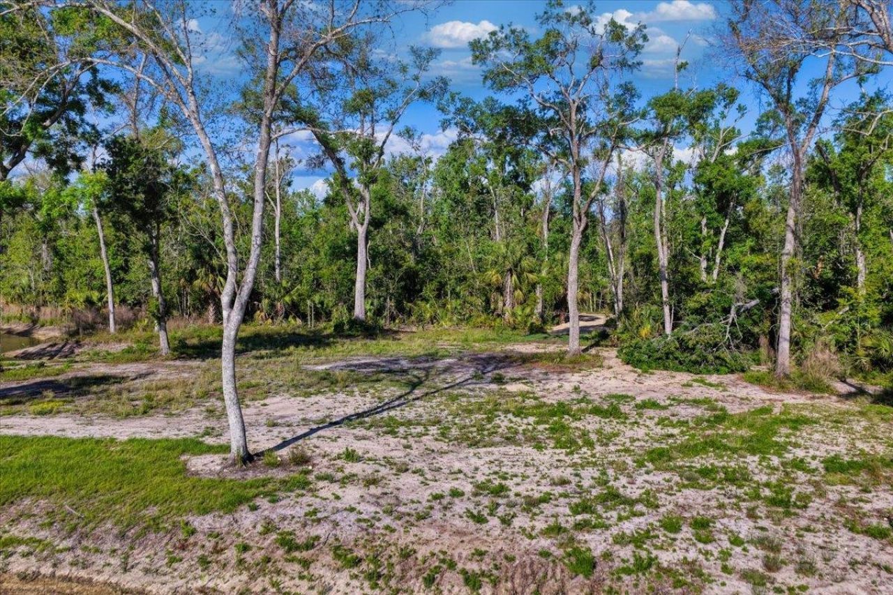 0 NW Roys Road, Steinhatchee, FL 32359 Photo