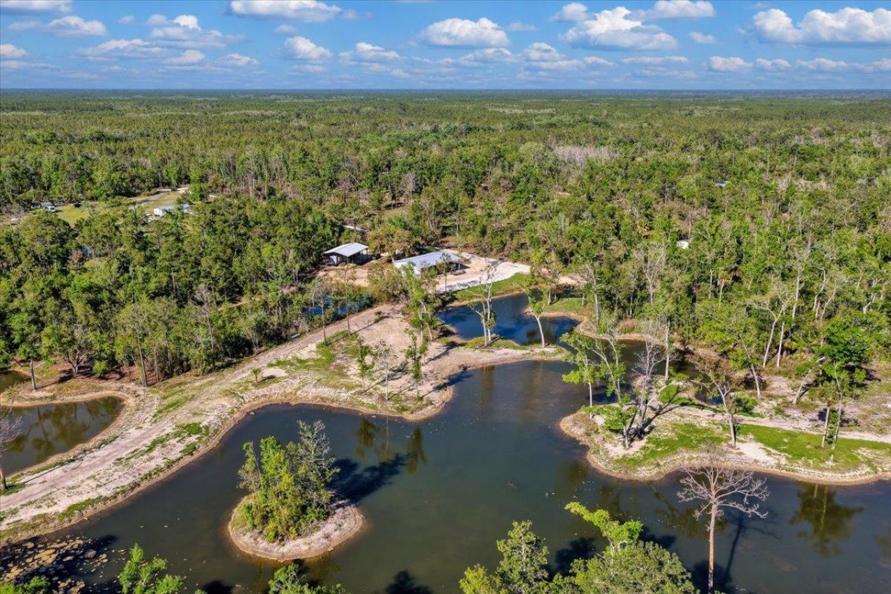 0 NW Roys Road, Steinhatchee, FL 32359 Photo