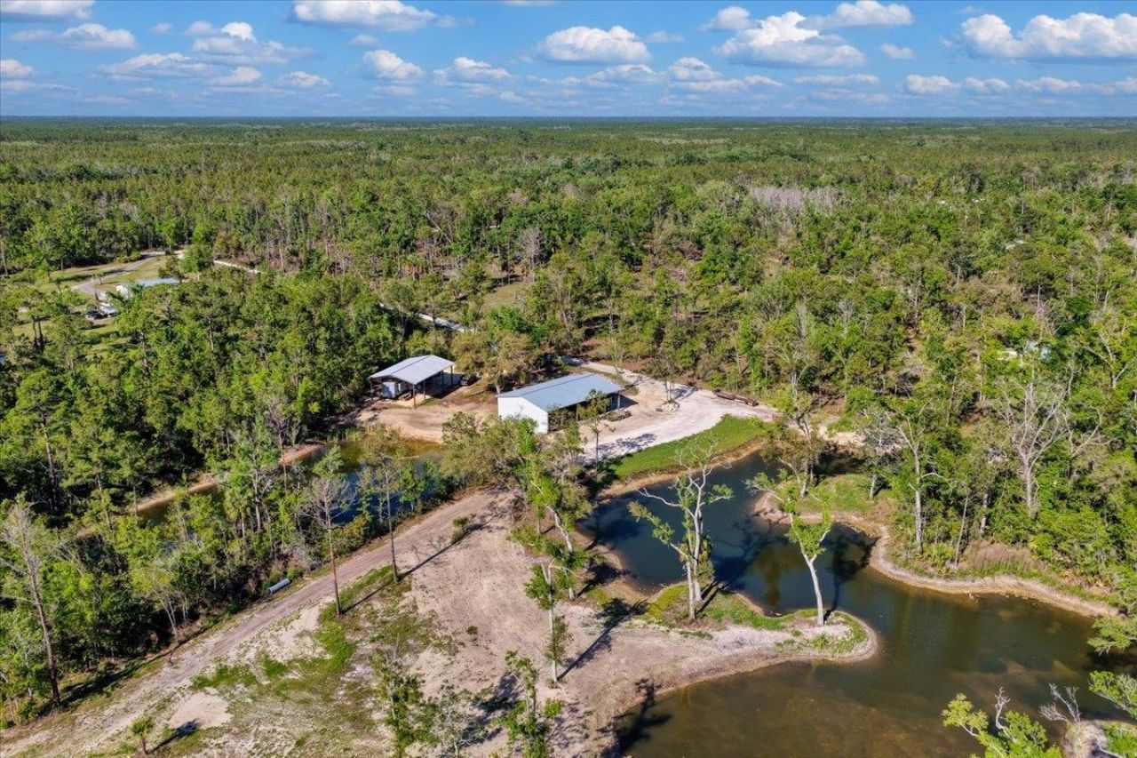 0 NW Roys Road, Steinhatchee, FL 32359 Photo