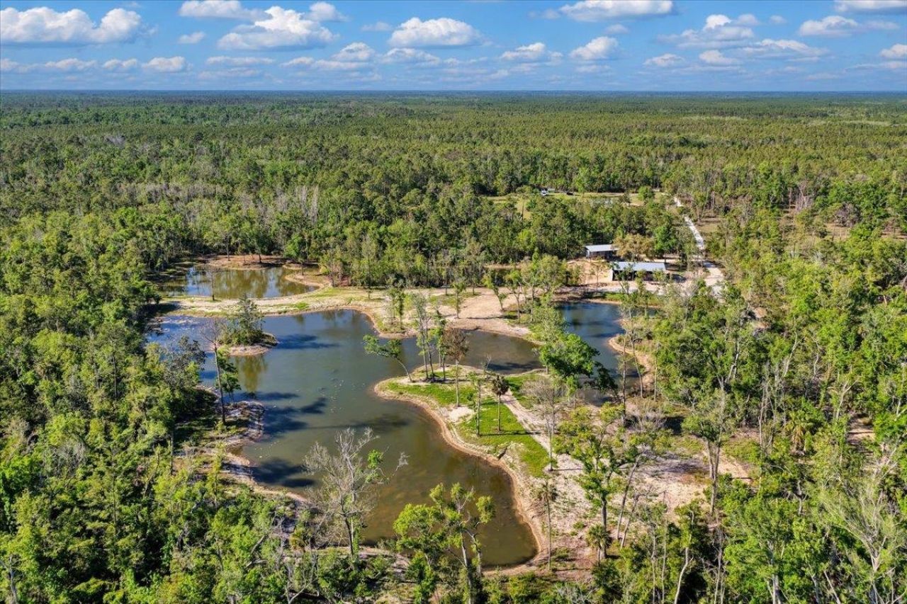 0 NW Roys Road, Steinhatchee, FL 32359 Photo