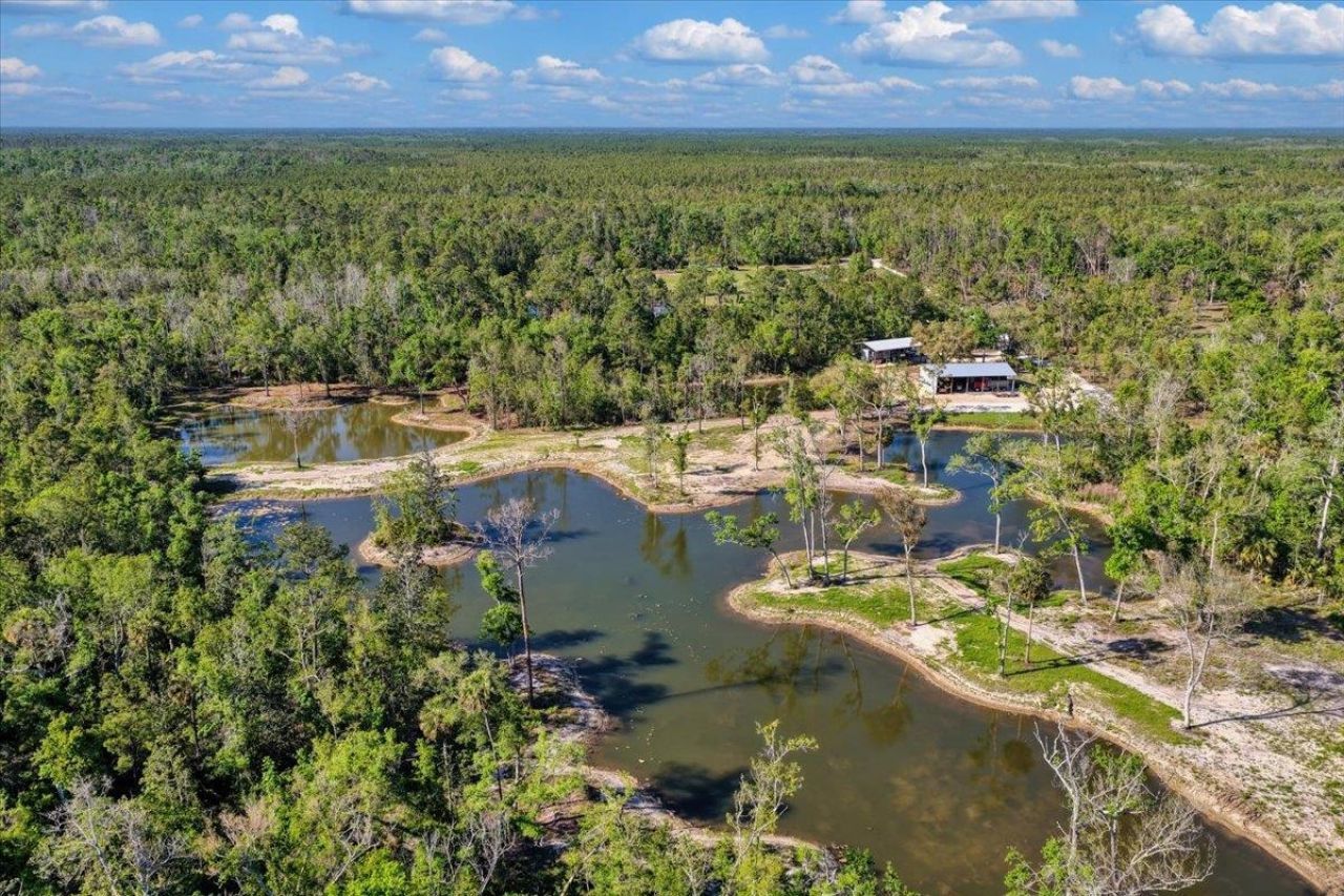 0 NW Roys Road, Steinhatchee, FL 32359 Photo