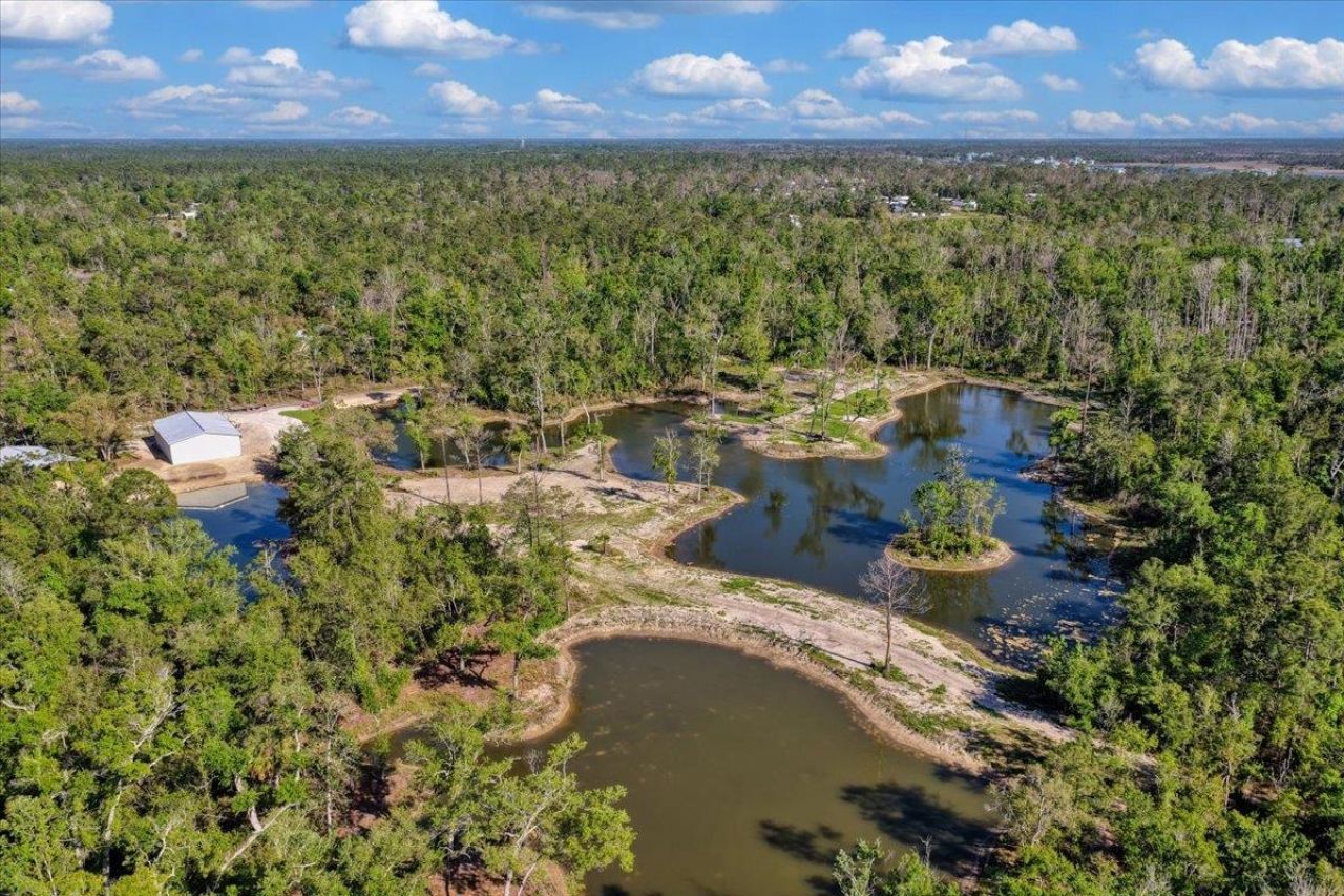 0 NW Roys Road, Steinhatchee, FL 32359 Photo