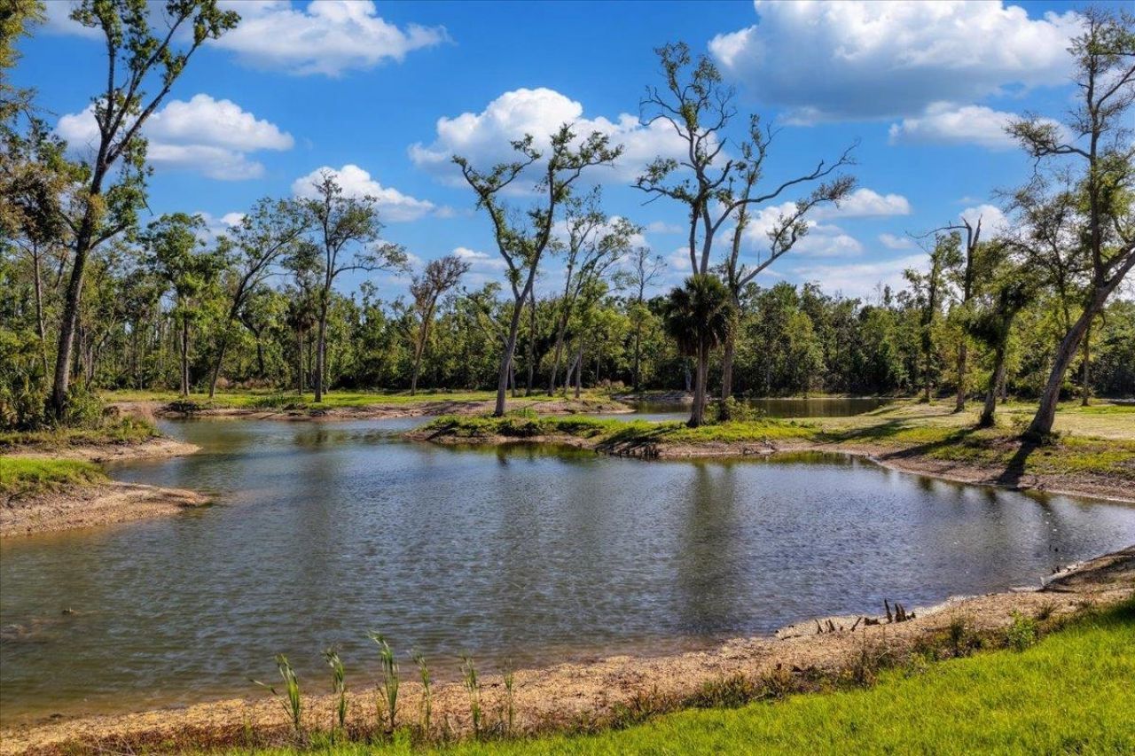 0 NW Roys Road, Steinhatchee, FL 32359 Photo