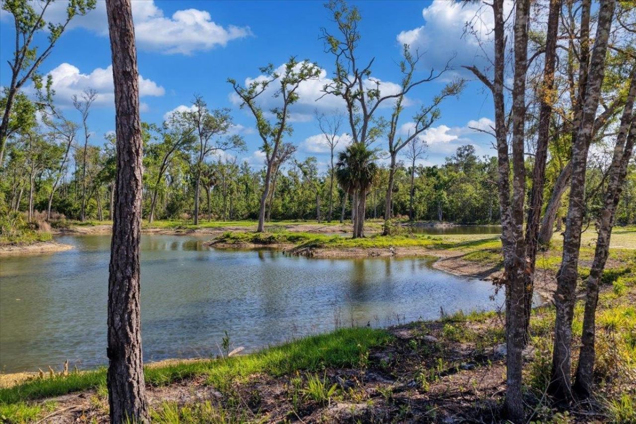 0 NW Roys Road, Steinhatchee, FL 32359 Photo