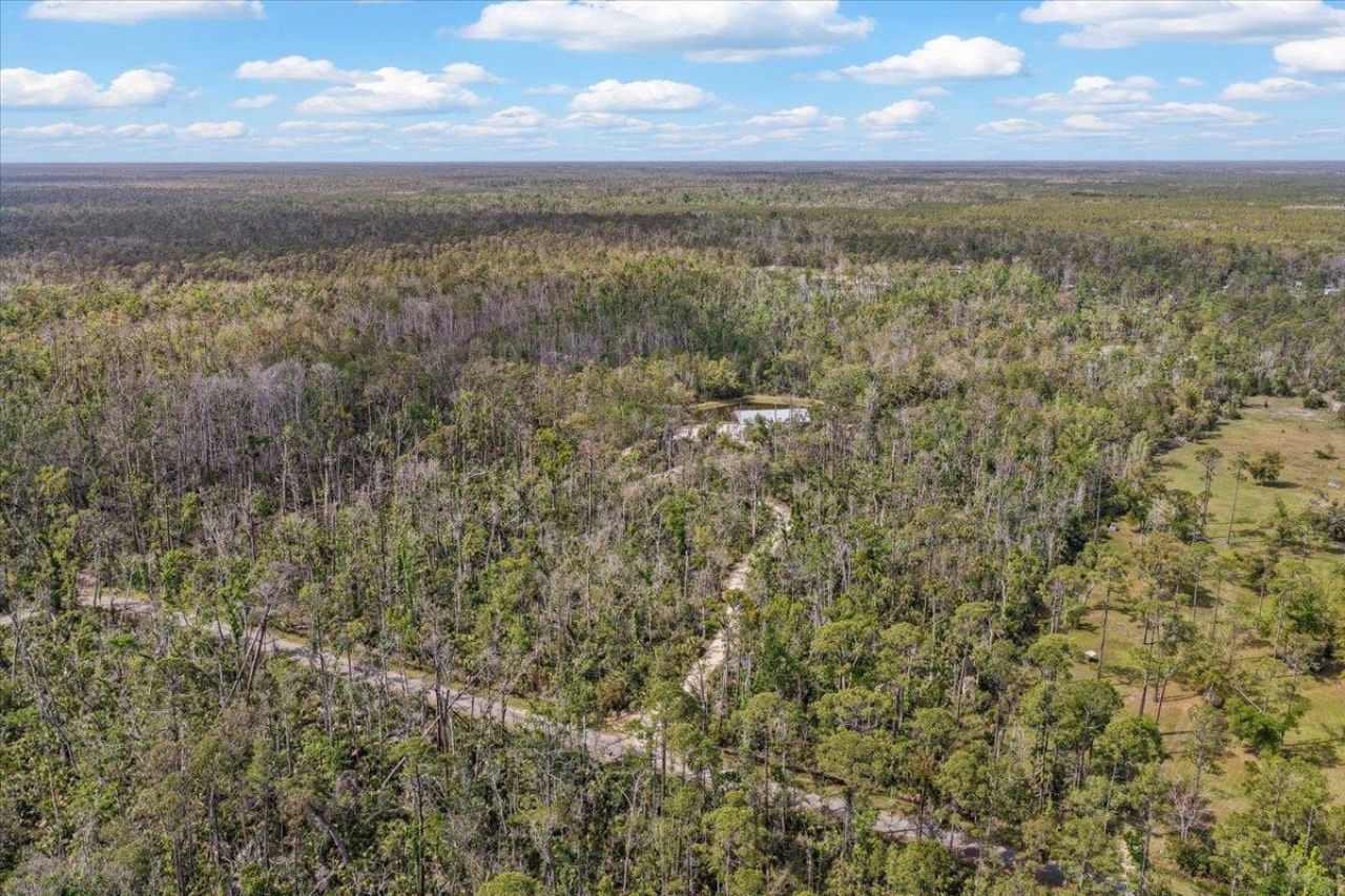 0 NW Roys Road , Steinhatchee, FL 32359 Photo