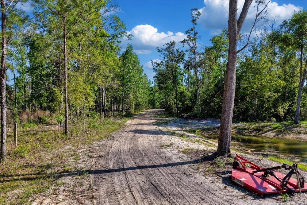 0 NW Roys Road, Steinhatchee, FL 32359 Photo