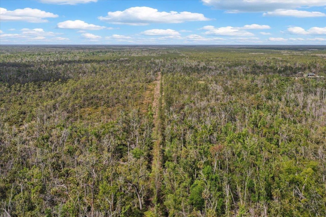 0 NW Roys Road , Steinhatchee, FL 32359 Photo