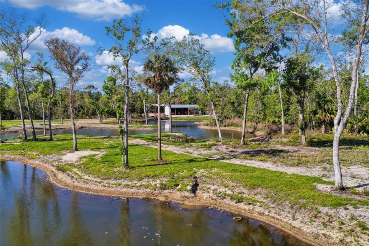 0 NW Roys Road, Steinhatchee, FL 32359 Photo