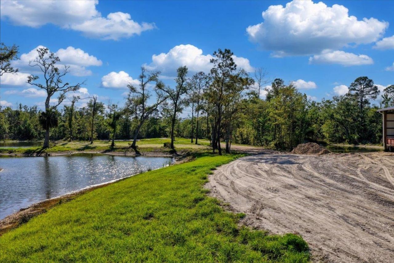 0 NW Roys Road, Steinhatchee, FL 32359 Photo