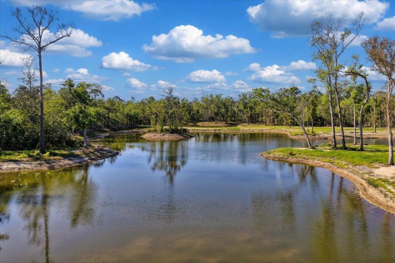 0 NW Roys Road, Steinhatchee, FL 32359 Photo