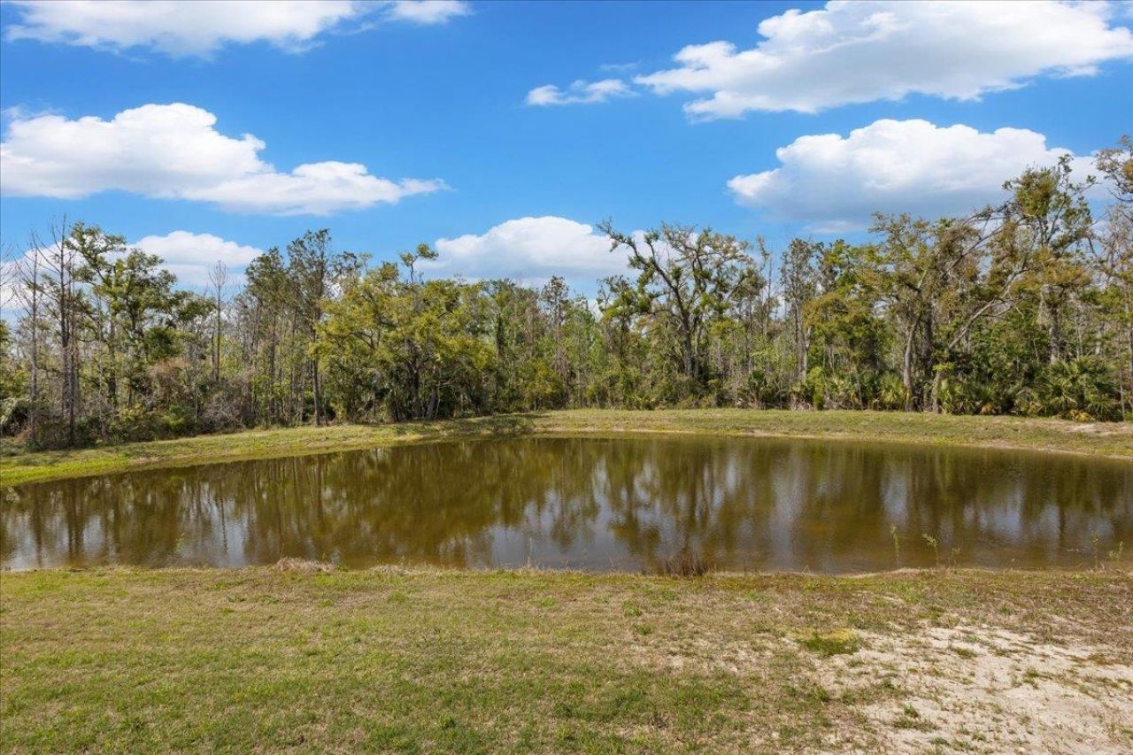 539 NW 5th Avenue, Steinhatchee, FL 32359 Photo