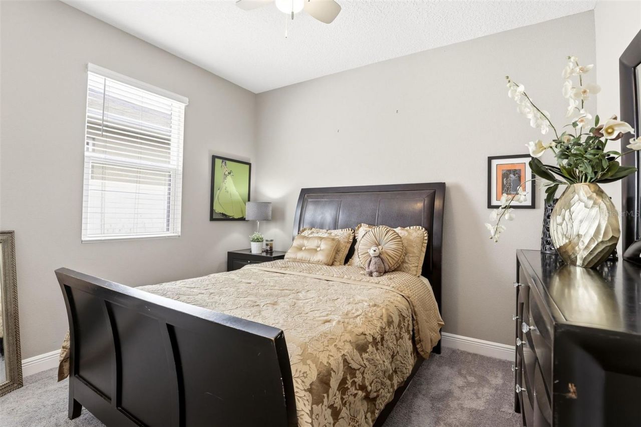 5256 Meadow Song Drive , Okahumpka, FL 34762 Photo