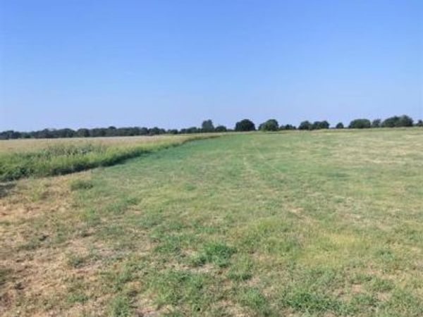 2834 St Hwy 81 , Itasca, TX 76055