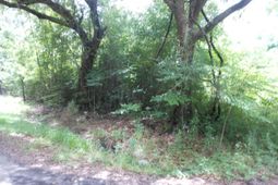 8046 Cedar Hall Road photo 4