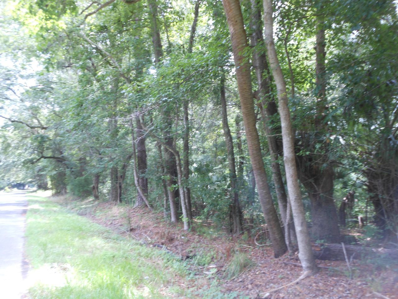 8046 Cedar Hall Road Photo 4