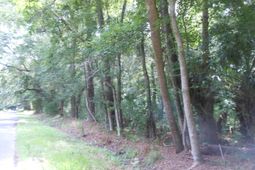 8046 Cedar Hall Road photo 4