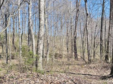 495 Clear Fork Branch Road, Eubank, KY 42567