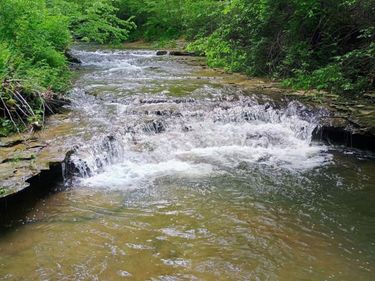 495 Clear Fork Branch Road, Eubank, KY 42567