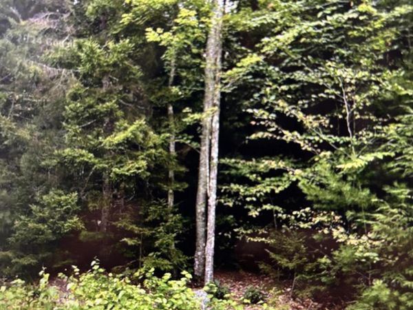 163 Sandy Acres Drive , Sullivan, ME 04664