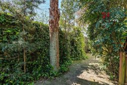 3 1/2 Kracke Street photo 4