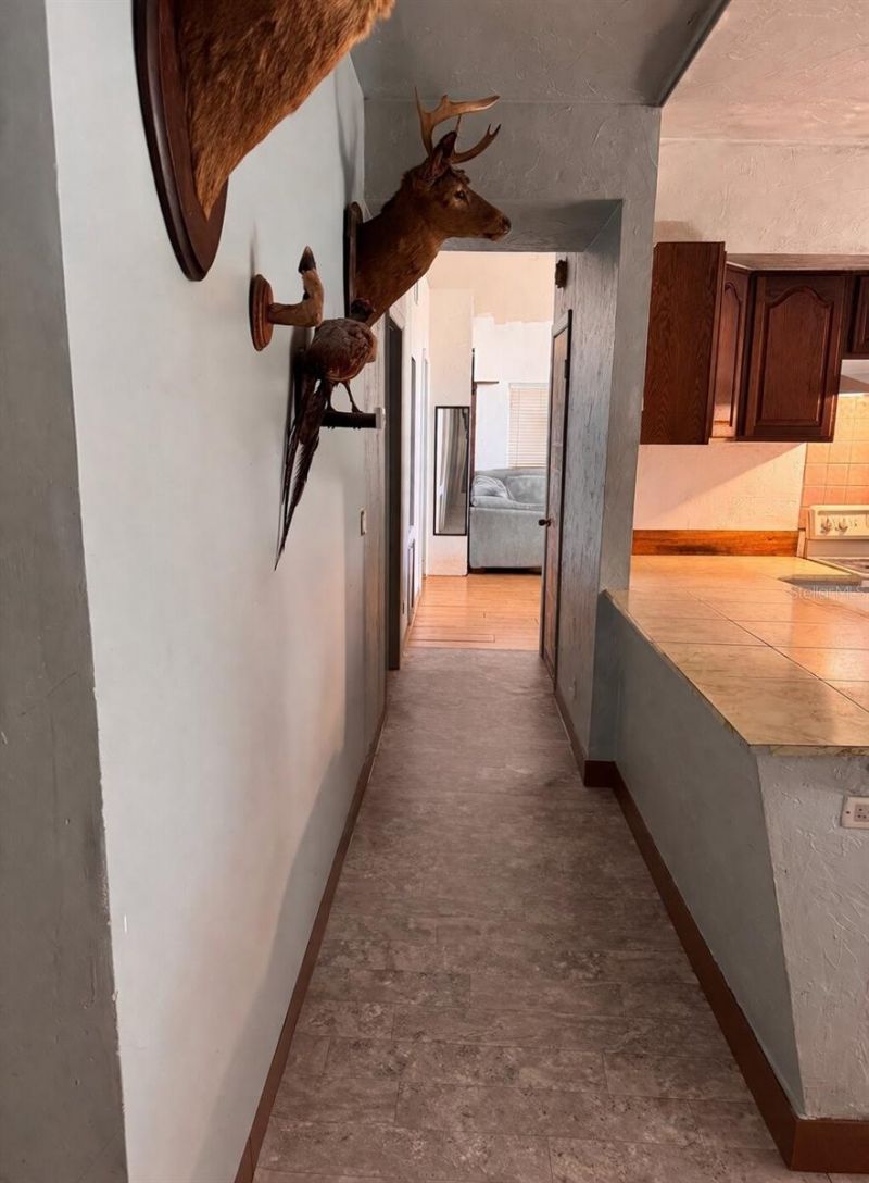 7923 18th Avenue E, Palmetto, FL 34221 Photo