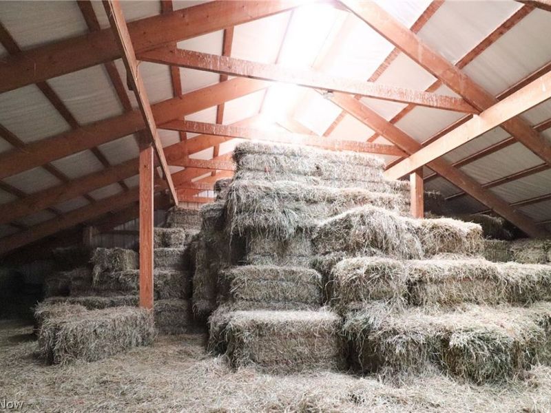 1153 E Pleasant Home Road, Creston, OH 44691 Photo 43