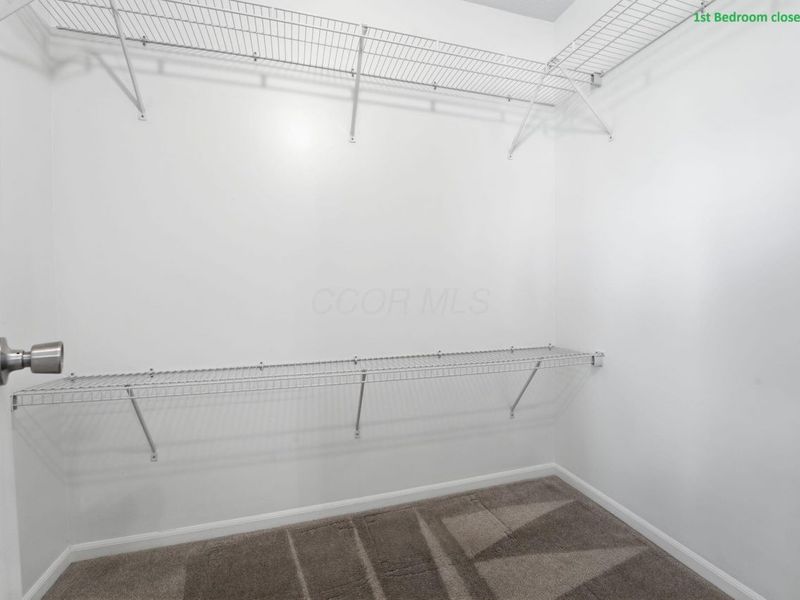 6408 Pinefield Drive, Hilliard, OH 43026 Photo 16