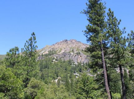 558 Brady Dr., Sierra City, CA 96125 Photo