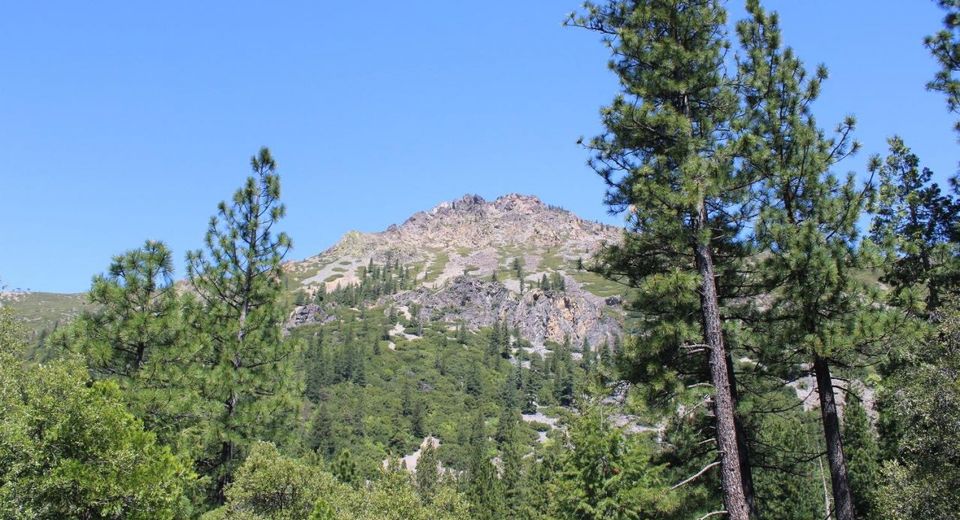 558 Brady Dr., Sierra City, CA 96125 Photo