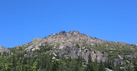 558 Brady Dr., Sierra City, CA 96125 Photo