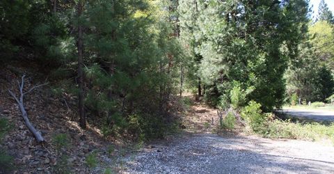 558 Brady Dr., Sierra City, CA 96125 Photo