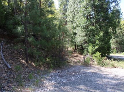 558 Brady Dr., Sierra City, CA 96125 Photo