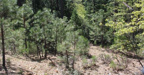 558 Brady Dr., Sierra City, CA 96125 Photo