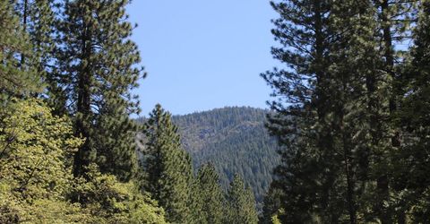 558 Brady Dr., Sierra City, CA 96125 Photo