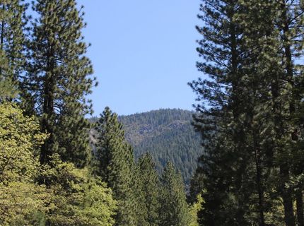 558 Brady Dr., Sierra City, CA 96125 Photo