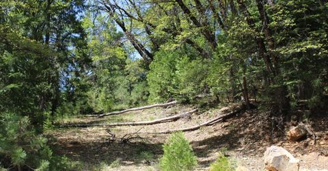 558 Brady Dr., Sierra City, CA 96125 Photo