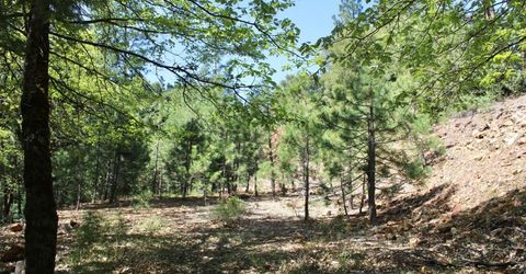 558 Brady Dr., Sierra City, CA 96125 Photo