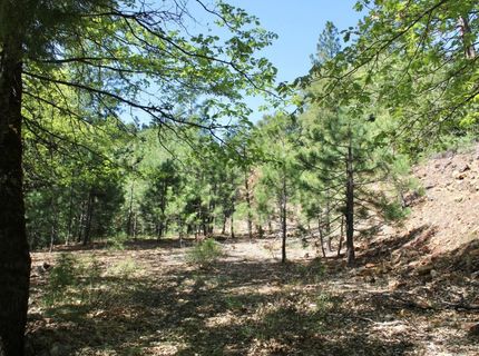 558 Brady Dr., Sierra City, CA 96125 Photo