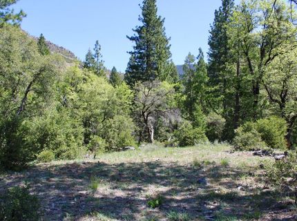 558 Brady Dr., Sierra City, CA 96125 Photo